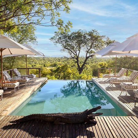 Simbavati Hilltop Lodge Timbavati Game Reserve Zewnętrze zdjęcie