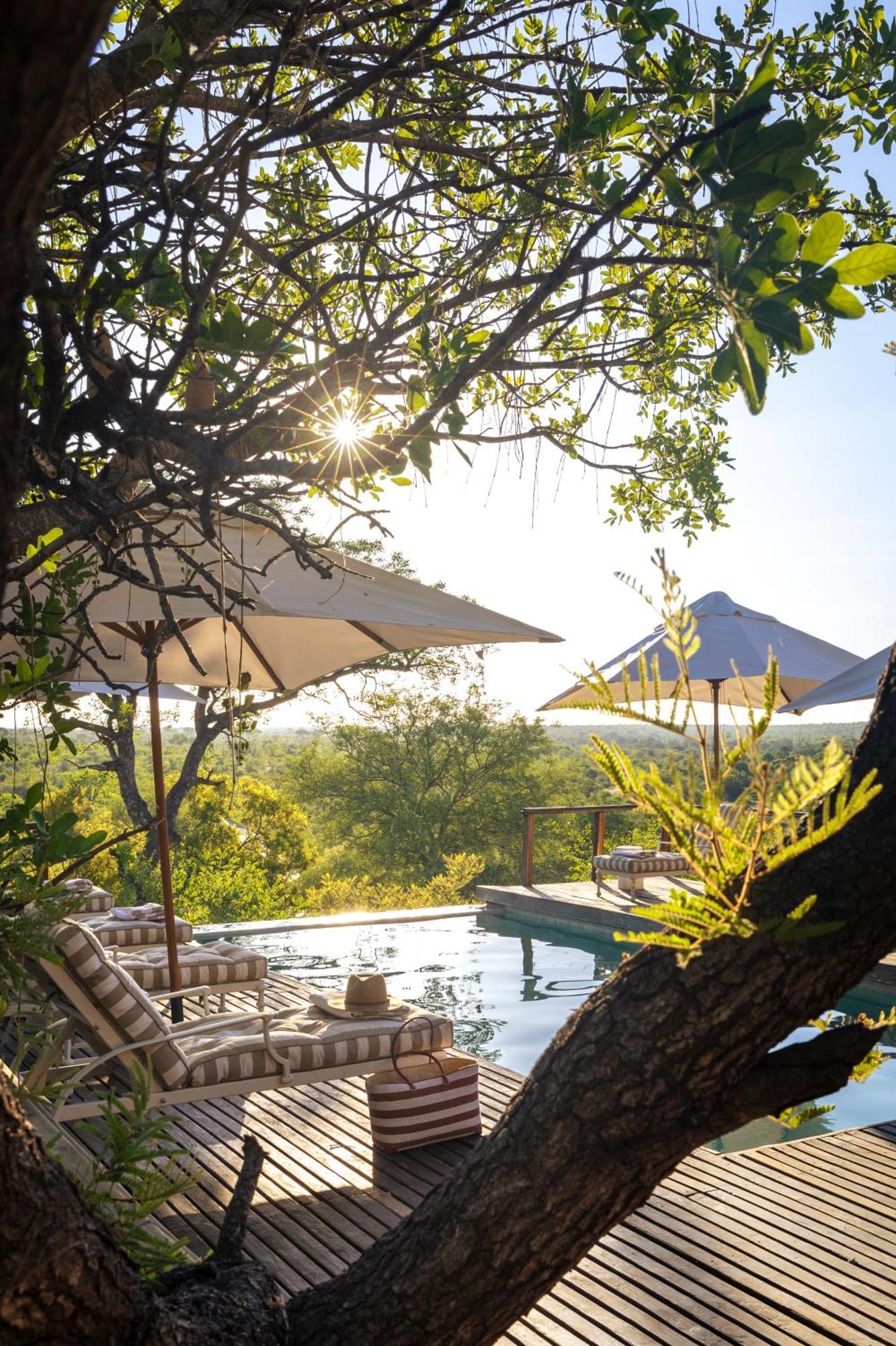 Simbavati Hilltop Lodge Timbavati Game Reserve Zewnętrze zdjęcie