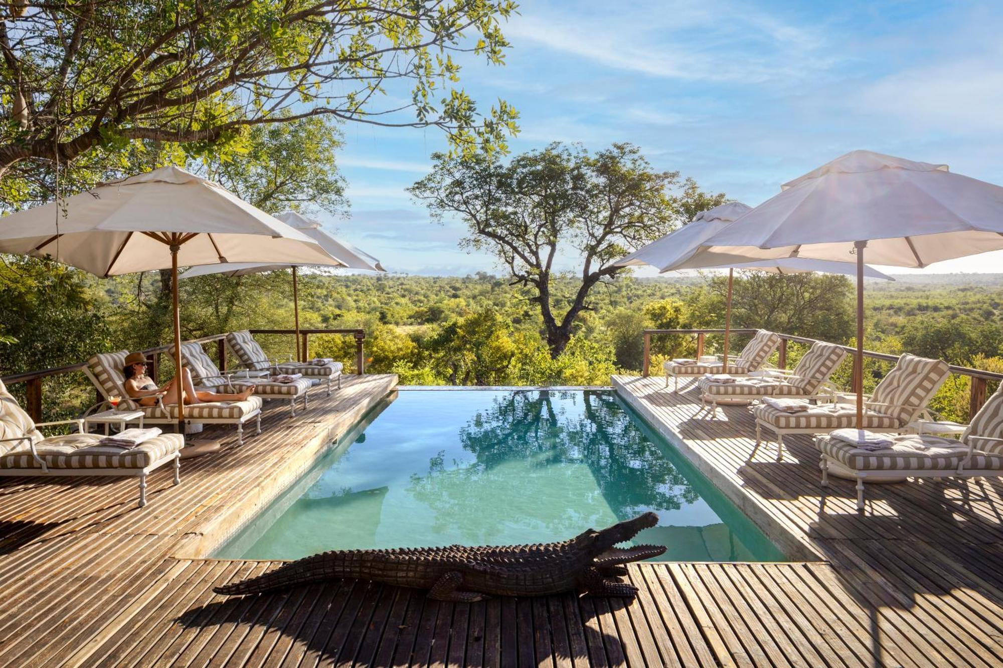 Simbavati Hilltop Lodge Timbavati Game Reserve Zewnętrze zdjęcie