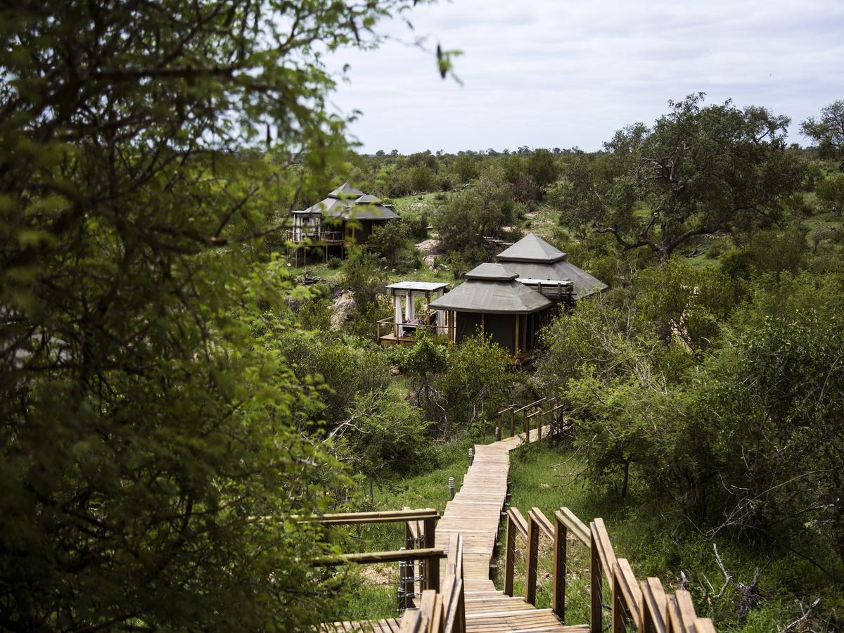 Simbavati Hilltop Lodge Timbavati Game Reserve Zewnętrze zdjęcie