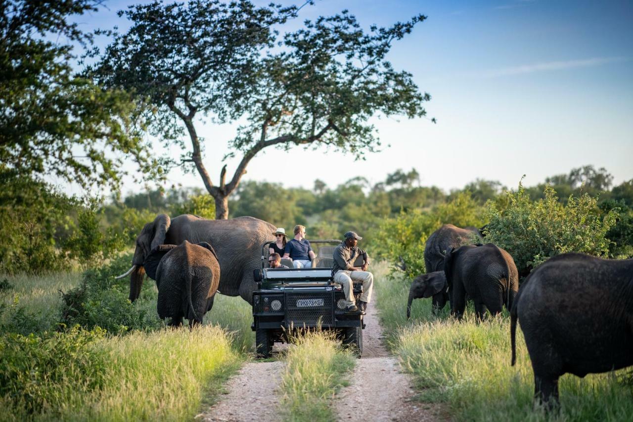 Simbavati Hilltop Lodge Timbavati Game Reserve Zewnętrze zdjęcie